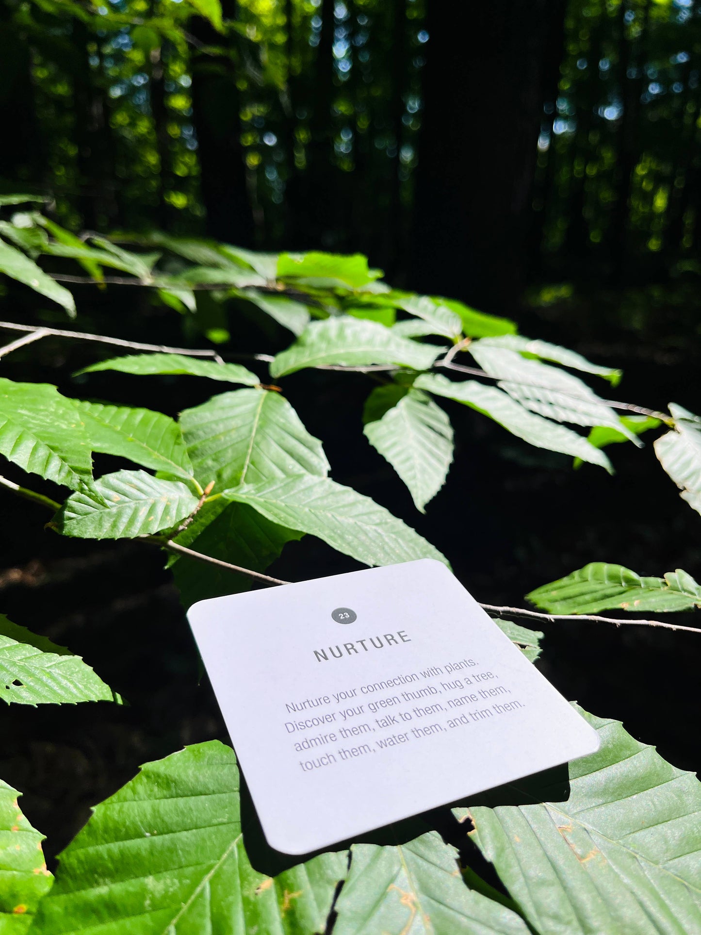 AURA BODY+HOME - Everyday Mindfulness Auracle: A 30-Card Deck