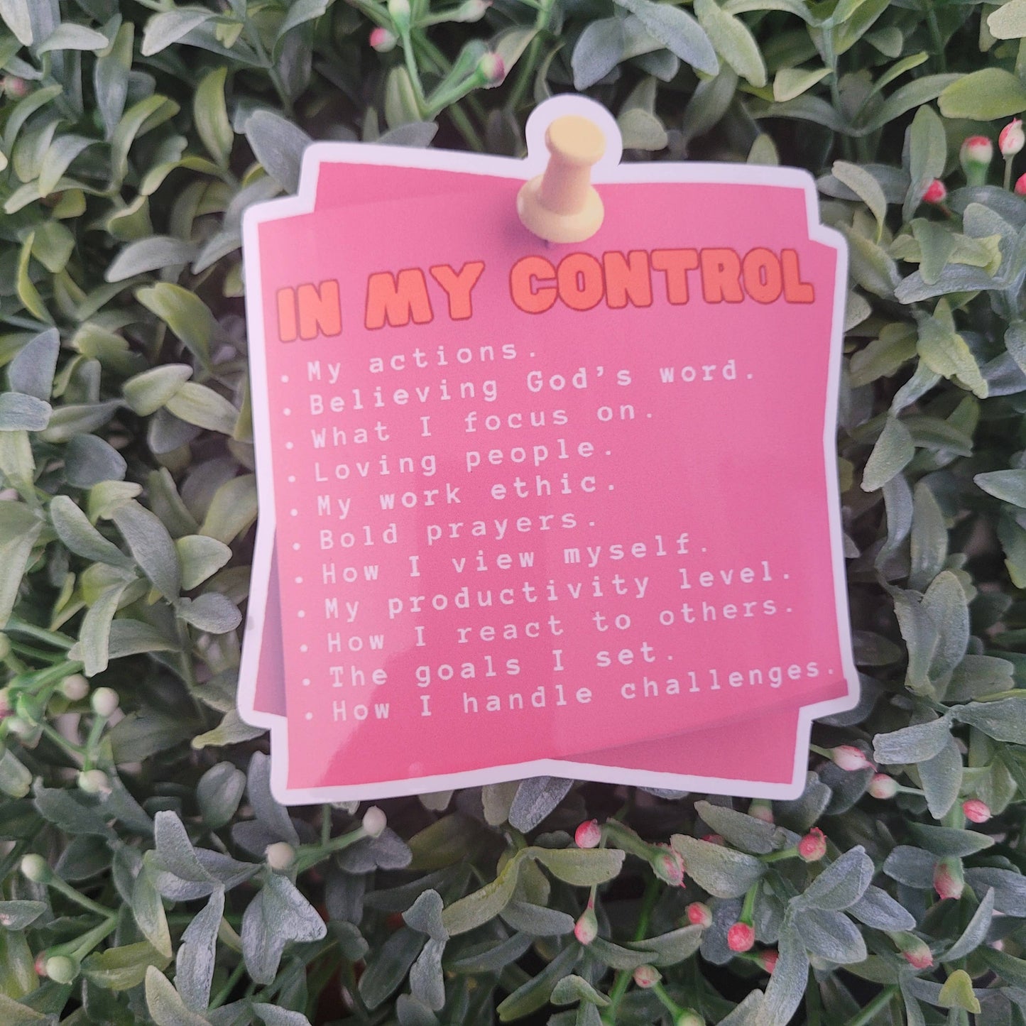 Self Care Tribe - In My Control Sticker