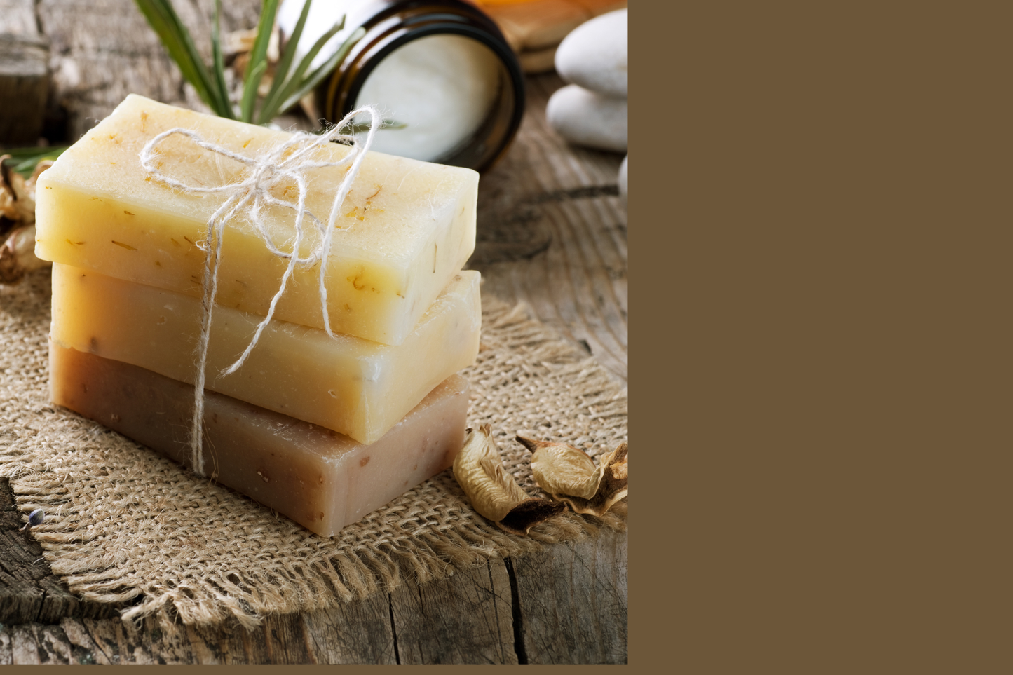 Haven Bath & Body Co. - Charcoal Grapefruit Soap Bar